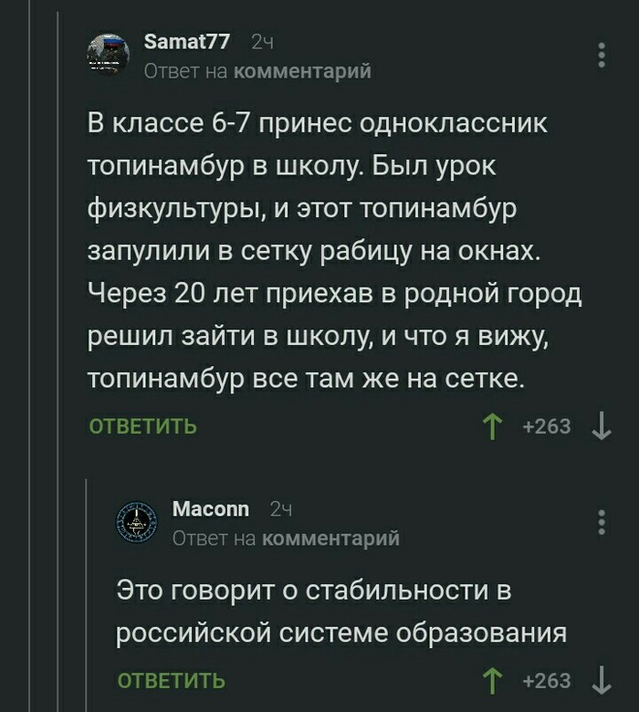 Стабильность - Топинамбур, Стабильность, Комментарии, Скриншот, Комментарии на Пикабу, Школа