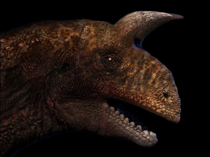   Zbrush, 3ds Max, ,  ,  , Shringasaurus indicus, 