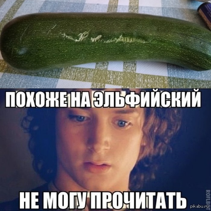 The Lord of the Rings: The Fellowship of the Zucchini - My, Zucchini, Lord of the Rings, Dacha, Merry harvest