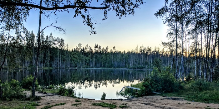 Forest Lake - My, Lake, Forest, Nature, The photo, Oneplus 3t, Leningrad region