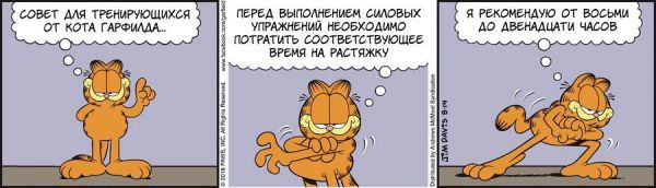 Translated by Garfield, August 14, 2018 - My, Garfield, Translation, Comics, Humor, cat, Stretching