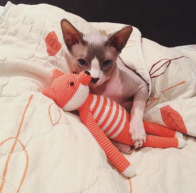 Fox - My, Amigurumi, Fox, cat, Handmade, Handmade