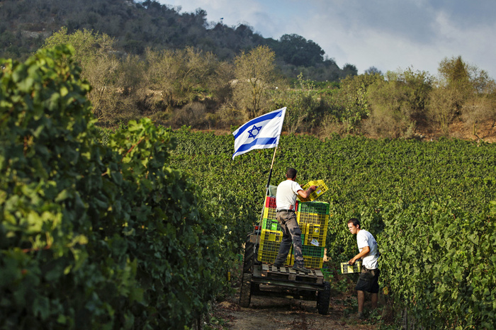 Kibbutz is collective farm in Hebrew. - Kibbutz, Israel, Сельское хозяйство, Longpost