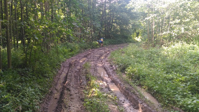 Пляжный отдых в марийском лесу или “долгая дорога в дюнах”. Марий Эл 12-19 августа 2018г. Часть 1. Путешествия, Туризм, Поход, Путешественники, Велосипед, Велосипедист, Путешествие по России, Длиннопост