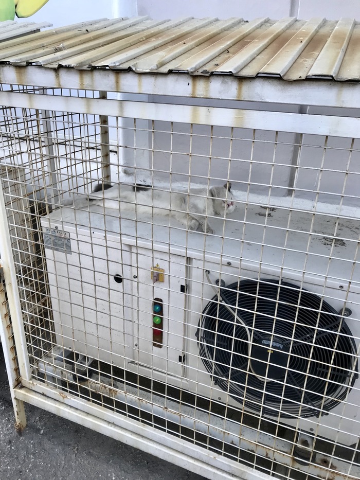 ������� ��������