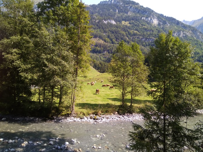 Alpine pastoral - My, Switzerland, beauty