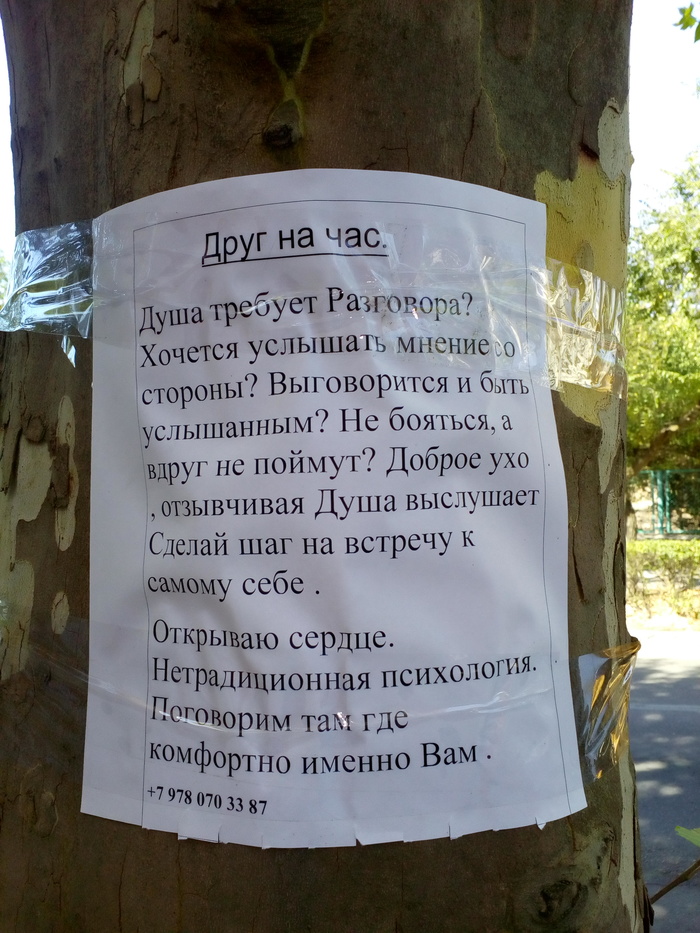 Funny announcement in Evpatoria :-) - My, Announcement, Crimea, Evpatoria