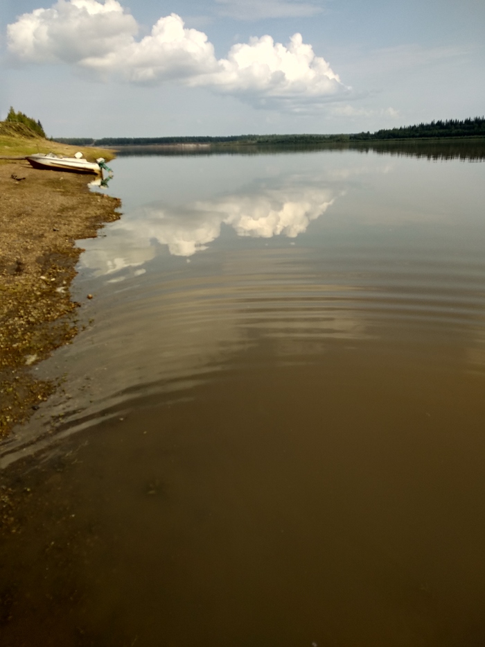 Vilyuy river. - Suntar, Vilyui River, Yakutia, Ecological catastrophy, Longpost