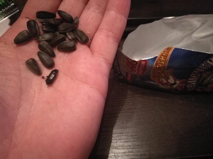 ��������� �������