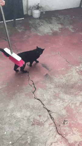Кто тут самый грязненький