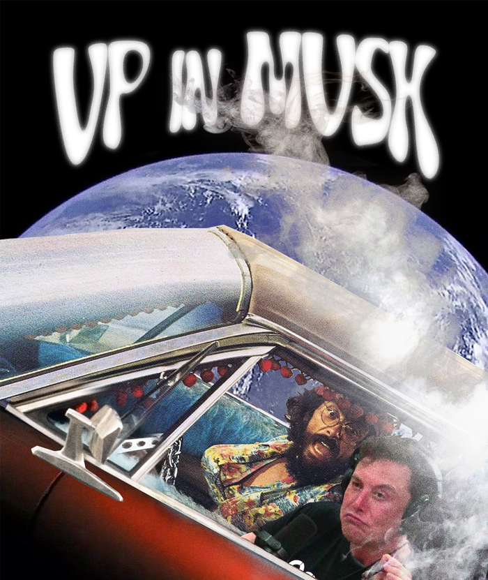 Musk up high