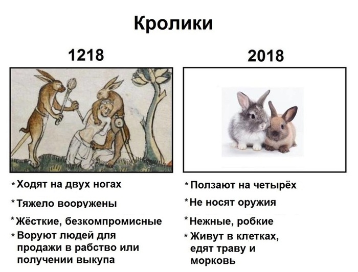 Rabbits are no longer the same - Rabbit, It Was-It Was, Suffering middle ages
