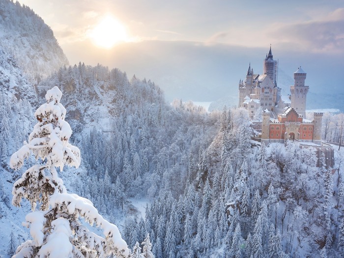 Neuschwanstein Castle - View, Germany, Nature, Lock, Winter