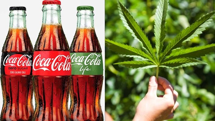 Coca-Cola заинтересовалась производством напитков с марихуаной - Coca-Cola, Медицинский каннабис, Новости