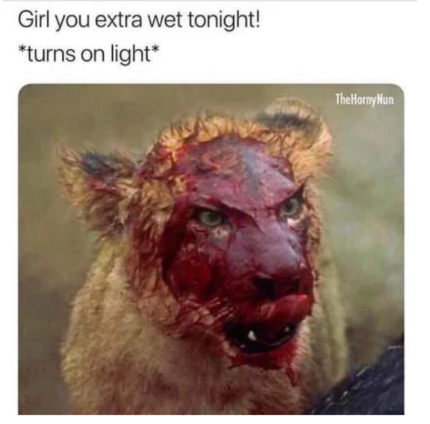 Extra wet - 9GAG, Eng