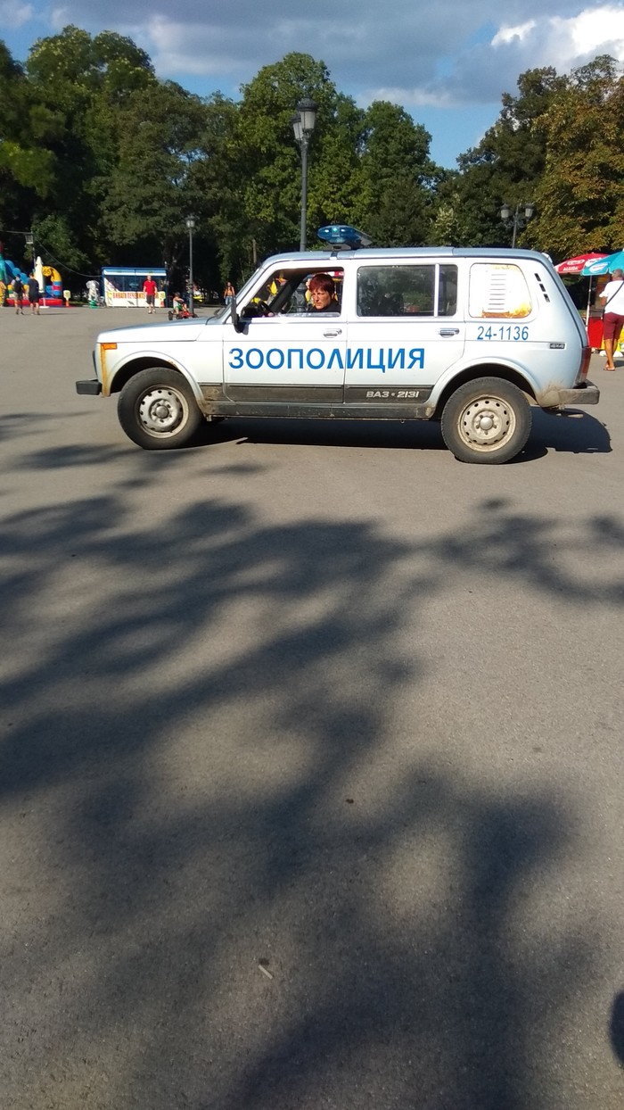 Сфоткал во время путешествия в Софии) Есть предложения в чем суть? - Моё, Полиция, Болгария, Странности, Путешествия