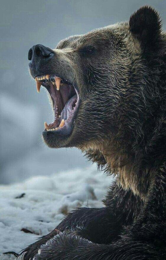 ����� ����� ��� ���� ������