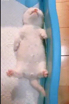 Потягушечки