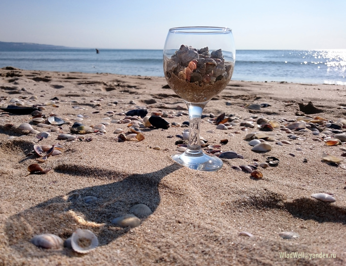 Коктейль для русалки 2018 Море, Ракушки, Коктейль, Русалка, Длиннопост