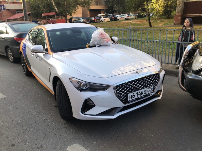 � ����������