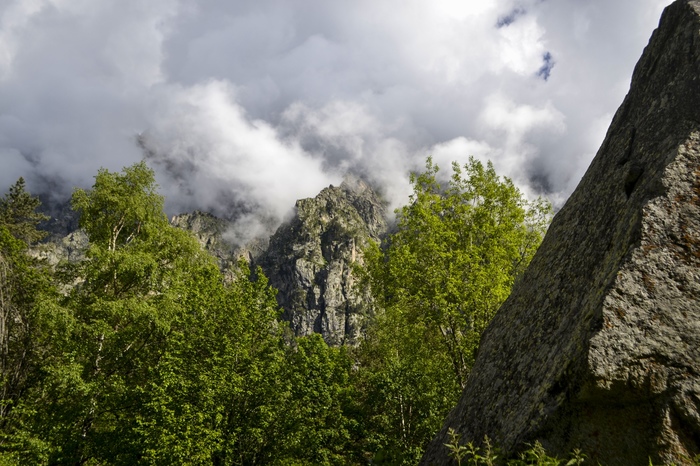 In the mountains - My, The mountains, Mountaineering, Tsey, Nature, wildlife, Travels, The photo