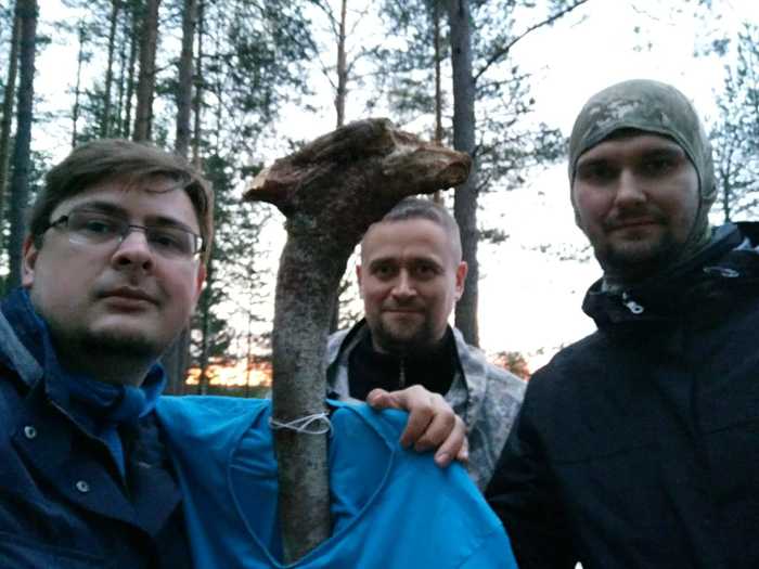 Пикабушное выживание часть 3. Отчёт. Поход, Выживание, Шалаш, Пвд, Природа, Длиннопост