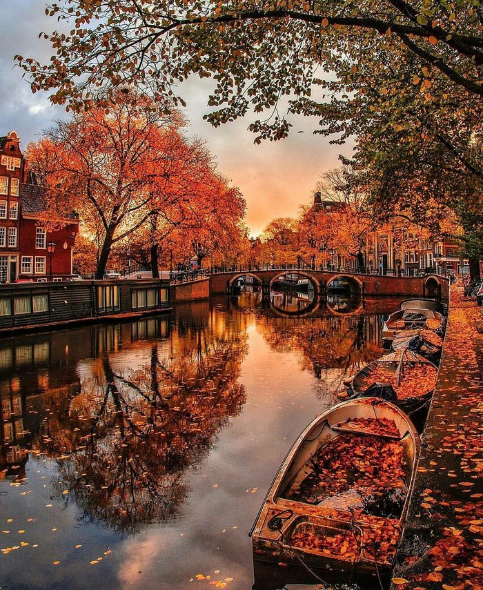 Autumn day in Amsterdam. - Nature, beauty of nature, beauty, The photo, Amsterdam, Netherlands, Interesting, Netherlands (Holland)