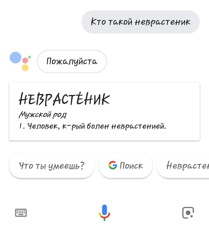 , !  , , Google Assistant, Google
