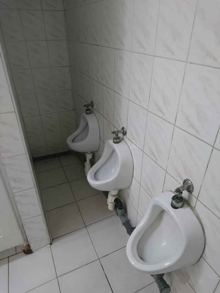When you love privacy... - My, Toilet, Space, Privacy