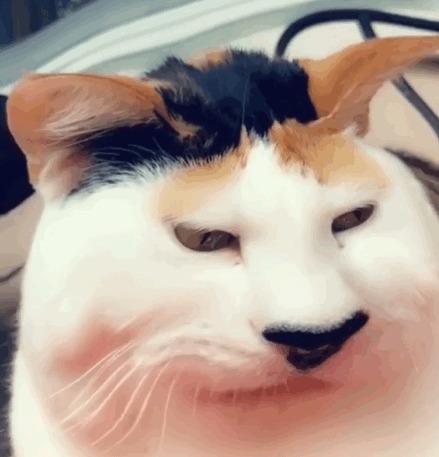   , , 
