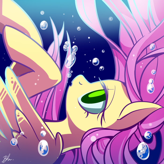  My Little Pony, Fluttershy, Renokim