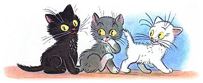 Three sad kittens - Kittens, Children's fairy tales, cat, Pets