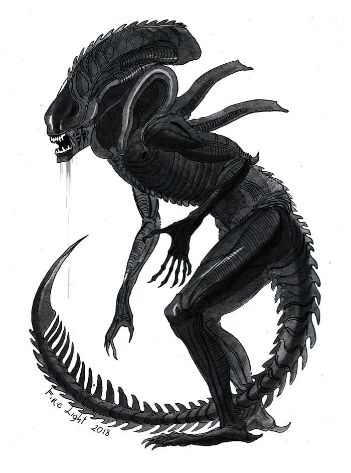  , , Inktober