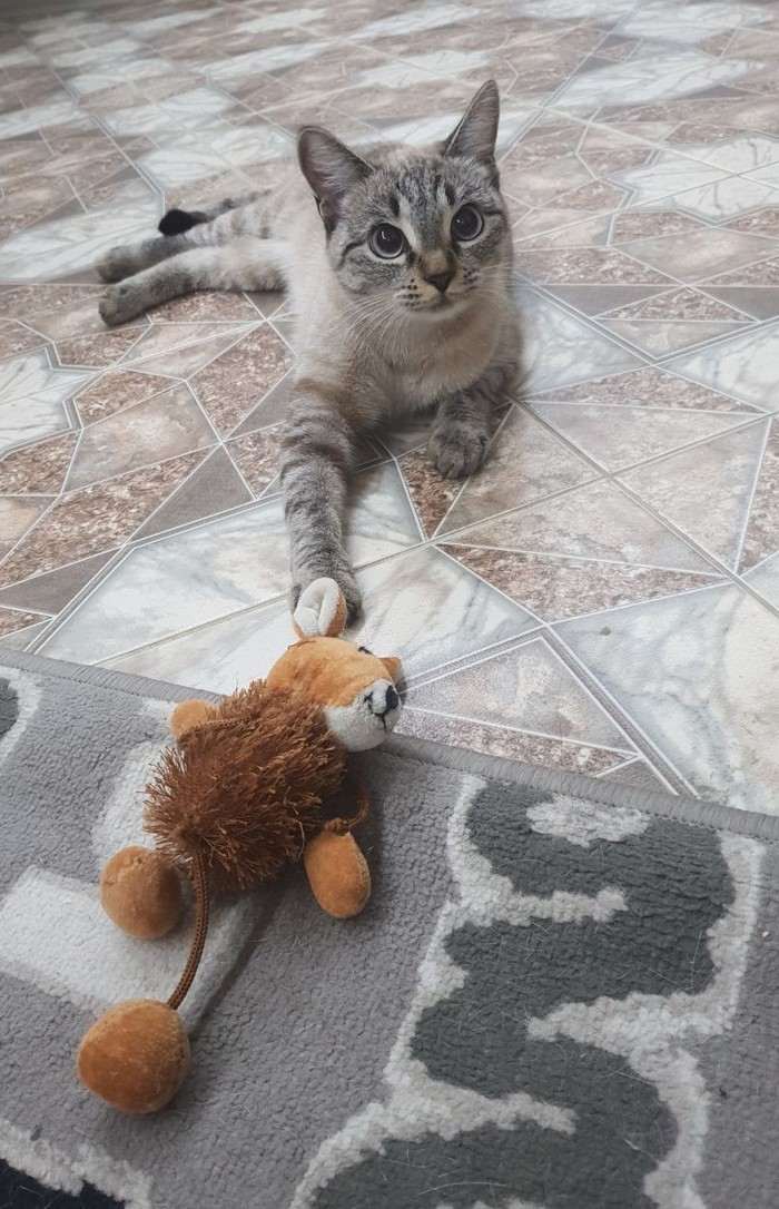      , ,  
