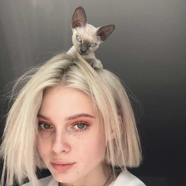 ������� � ������ #78.0