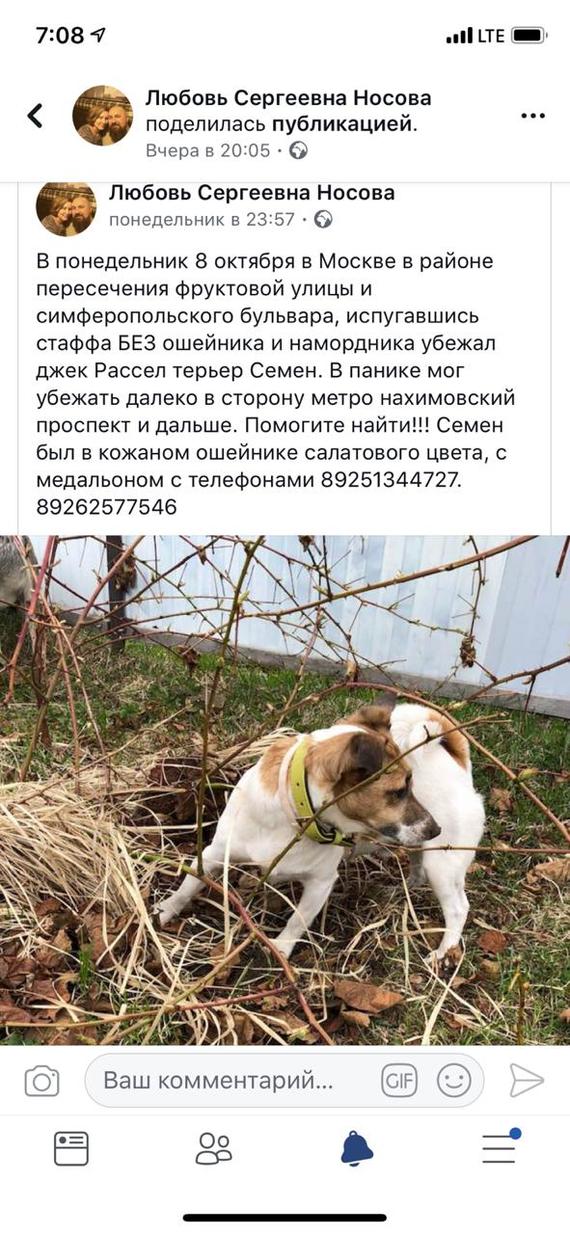 ��������� ����. ������ ������.