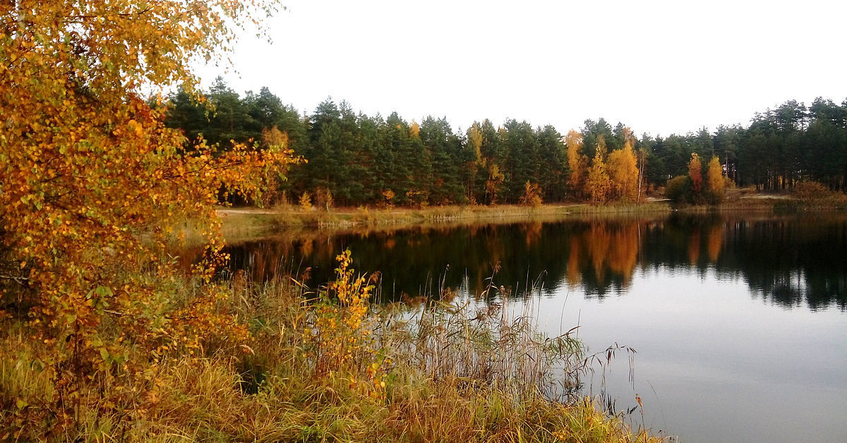 Озеро светлое павлово посадский район
