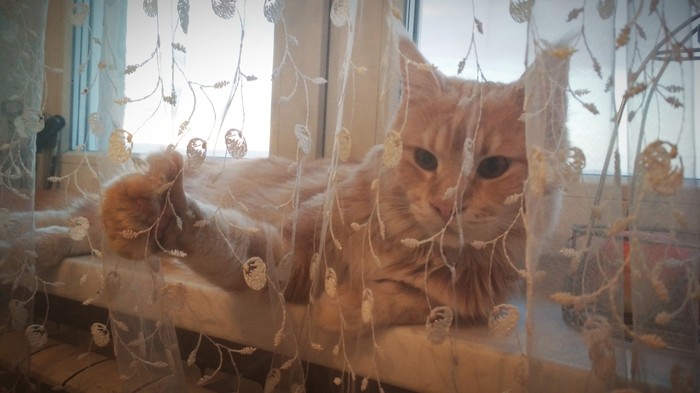 Все будет ок