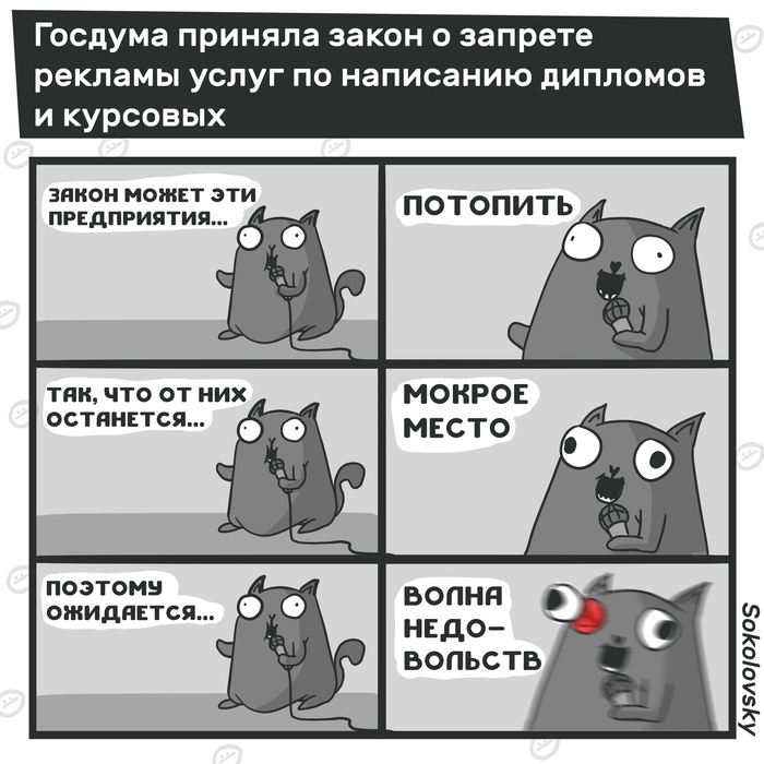 New law from the State Duma - My, State Duma, Law, Politics, Comics, Chilik, Ruslan Sokolovsky, University, Diploma