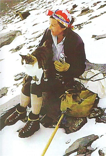 Swiss climbing cat Tomba. - cat, Animals, Mountaineering, Tourism, The mountains, Travels, Adventures, Longpost