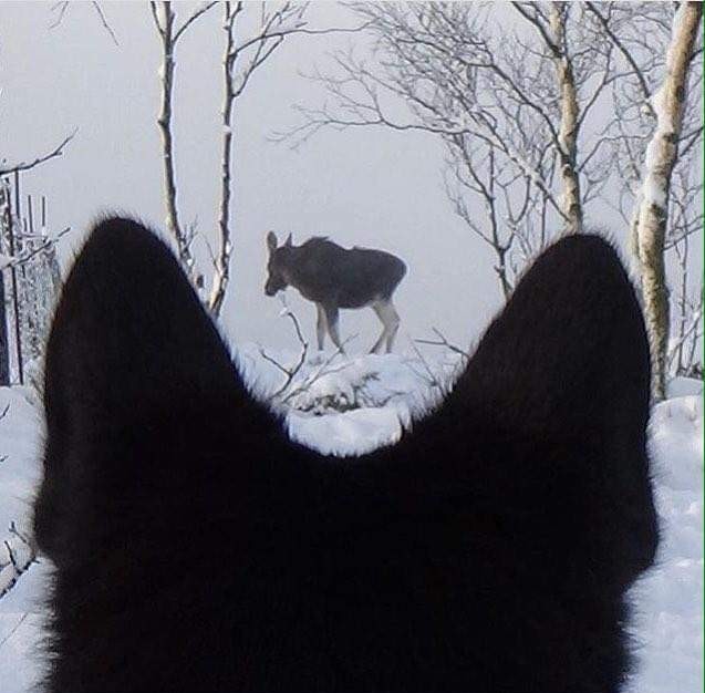 �������� ������