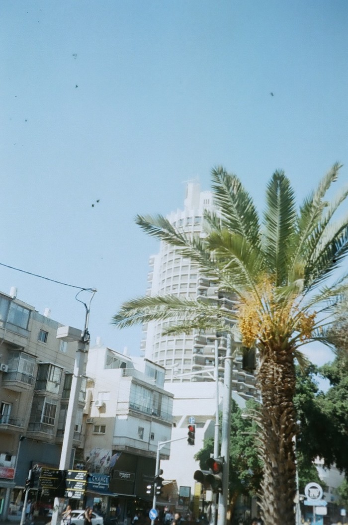 Photo on film camera minolta hi matic - My, The photo, Vintage, camera roll, Tel Aviv, Skyscraper, Flowers, Town, Longpost