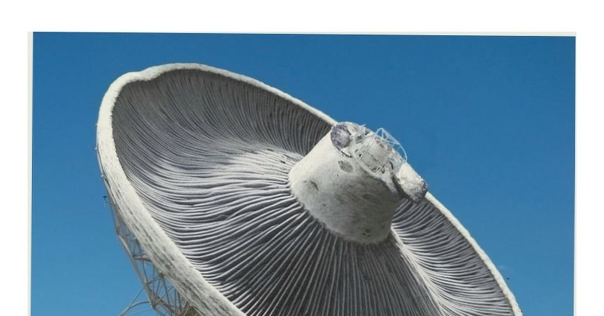 Шутка юмора | Пикабу