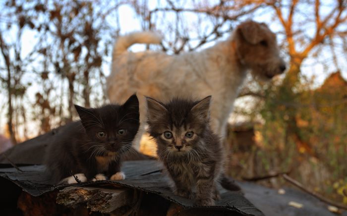Групповой портрет.