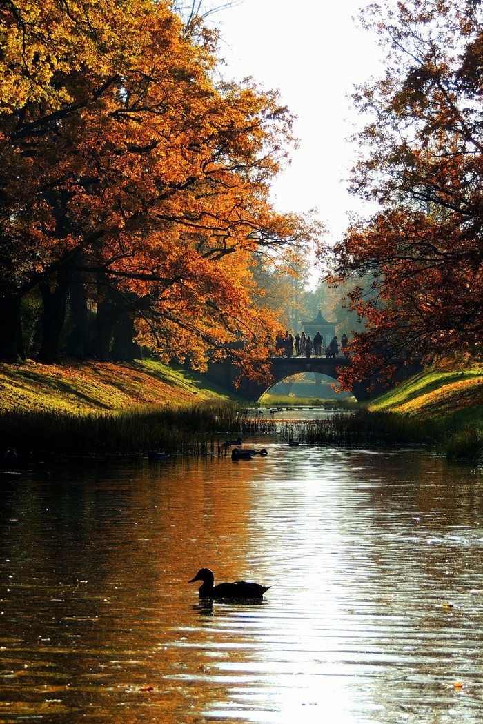 Pushkin this autumn - My, The photo, Pushkin, Autumn mood, Autumn