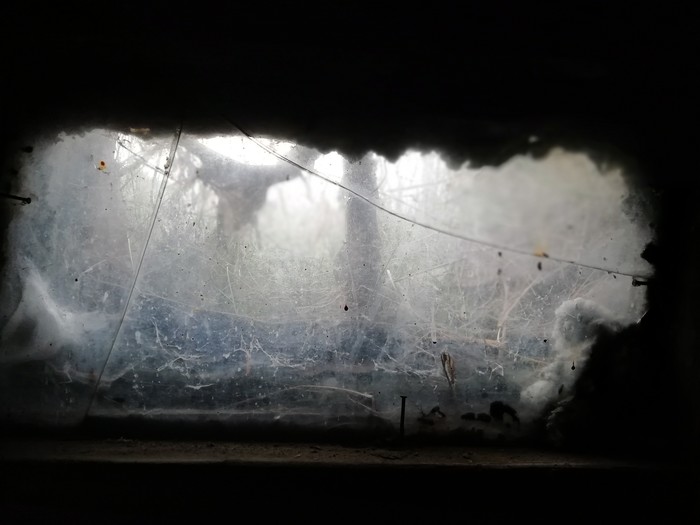 ���� � ���������� ����