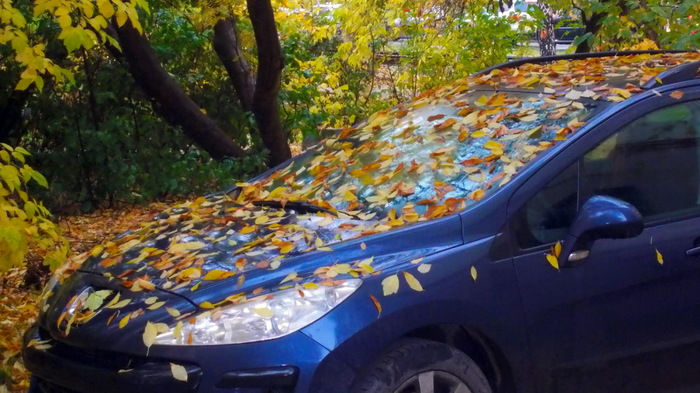 Golden autumn. - My, The photo, Canon, Autumn, Autumn leaves, Car, Brightness
