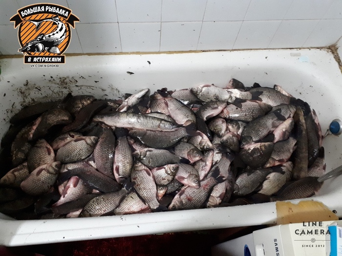 Astrakhan man caught a full bath of fish with his hands - Astrakhan, South Wave, Fishing, 