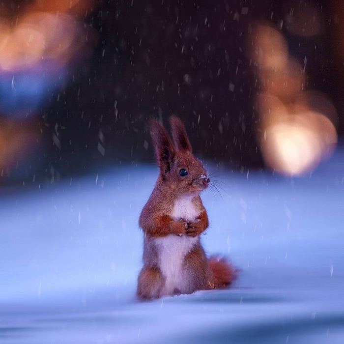 �������)