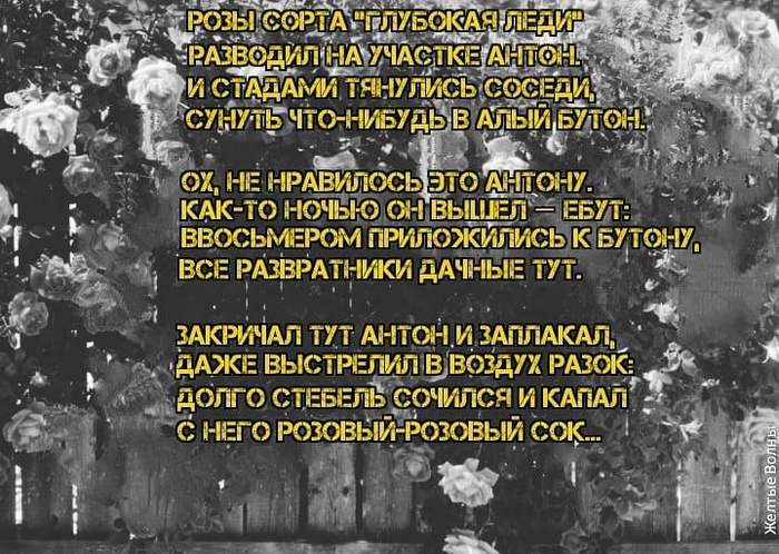 �������� ����